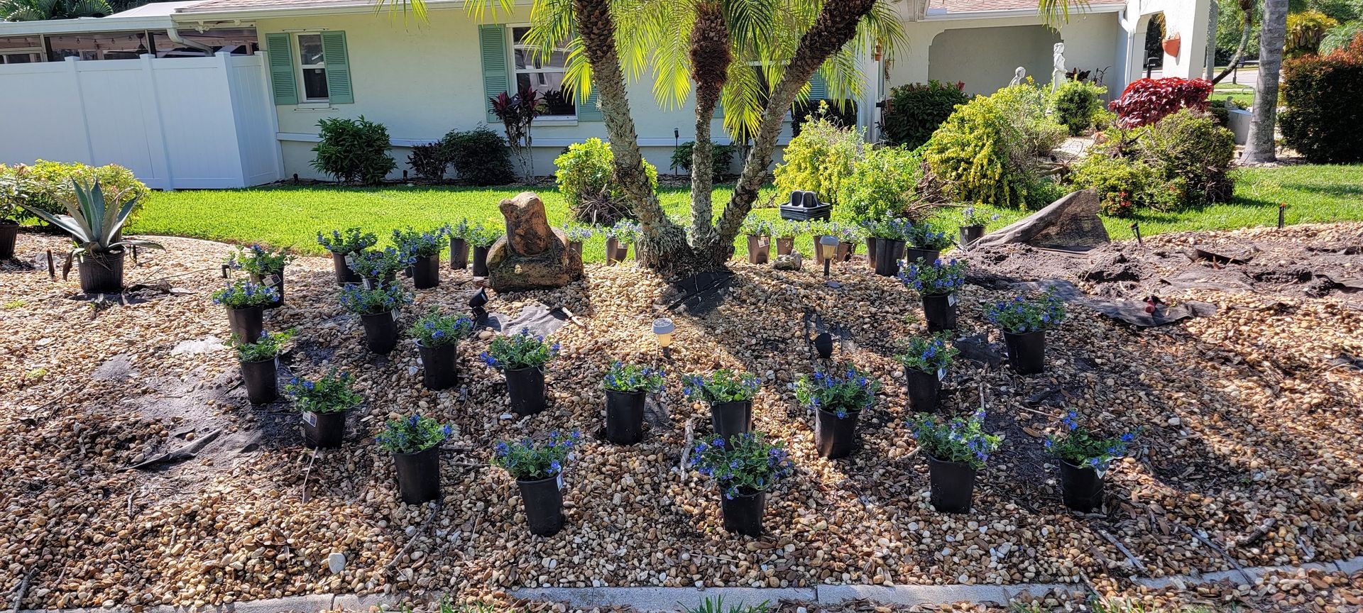 Shrub & Ornamental Landscape Install