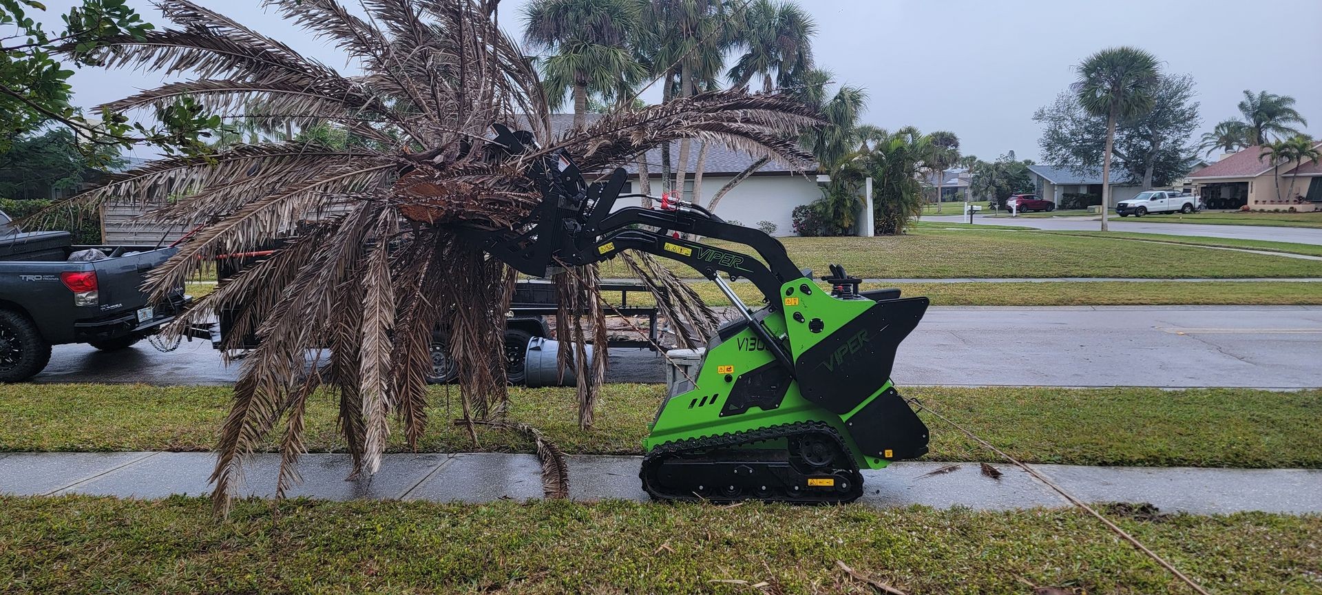 Tree Removal