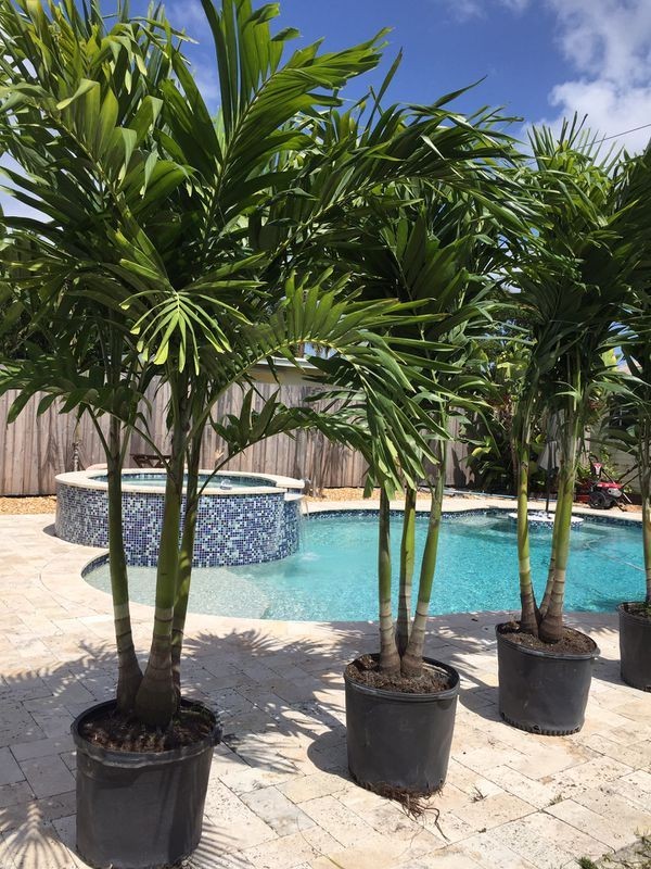 Comprehensive Landscaping Design