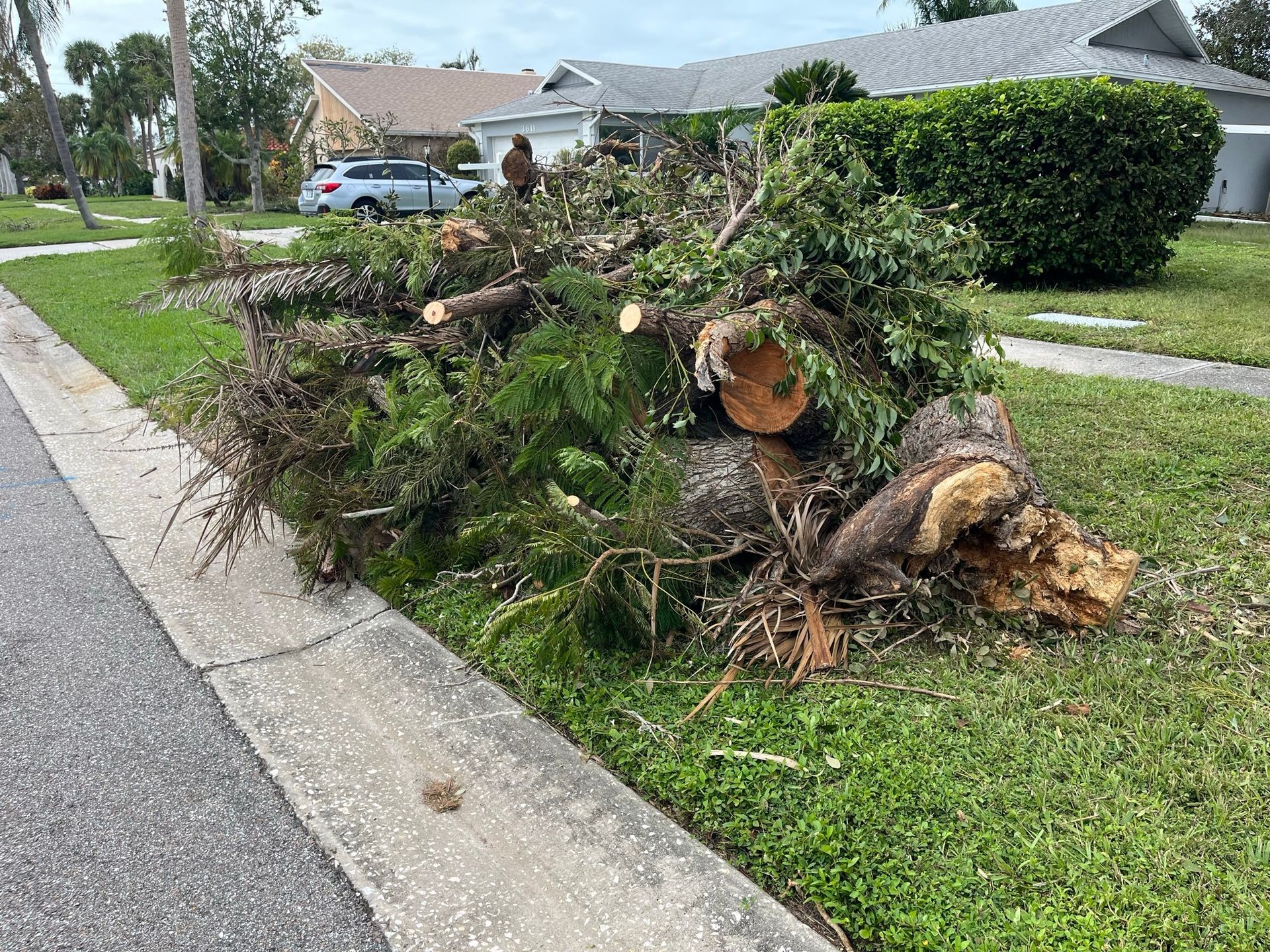 Post Storm Clean-Up