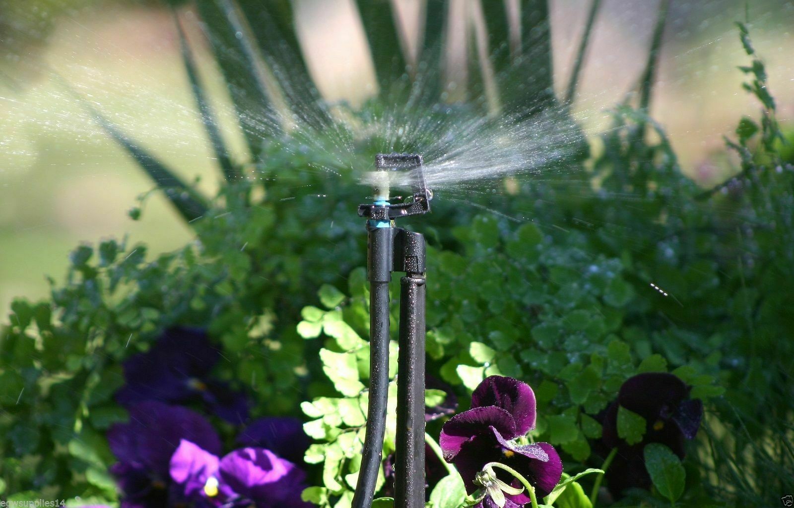 Micro Sprinkler & Drip Irrigation