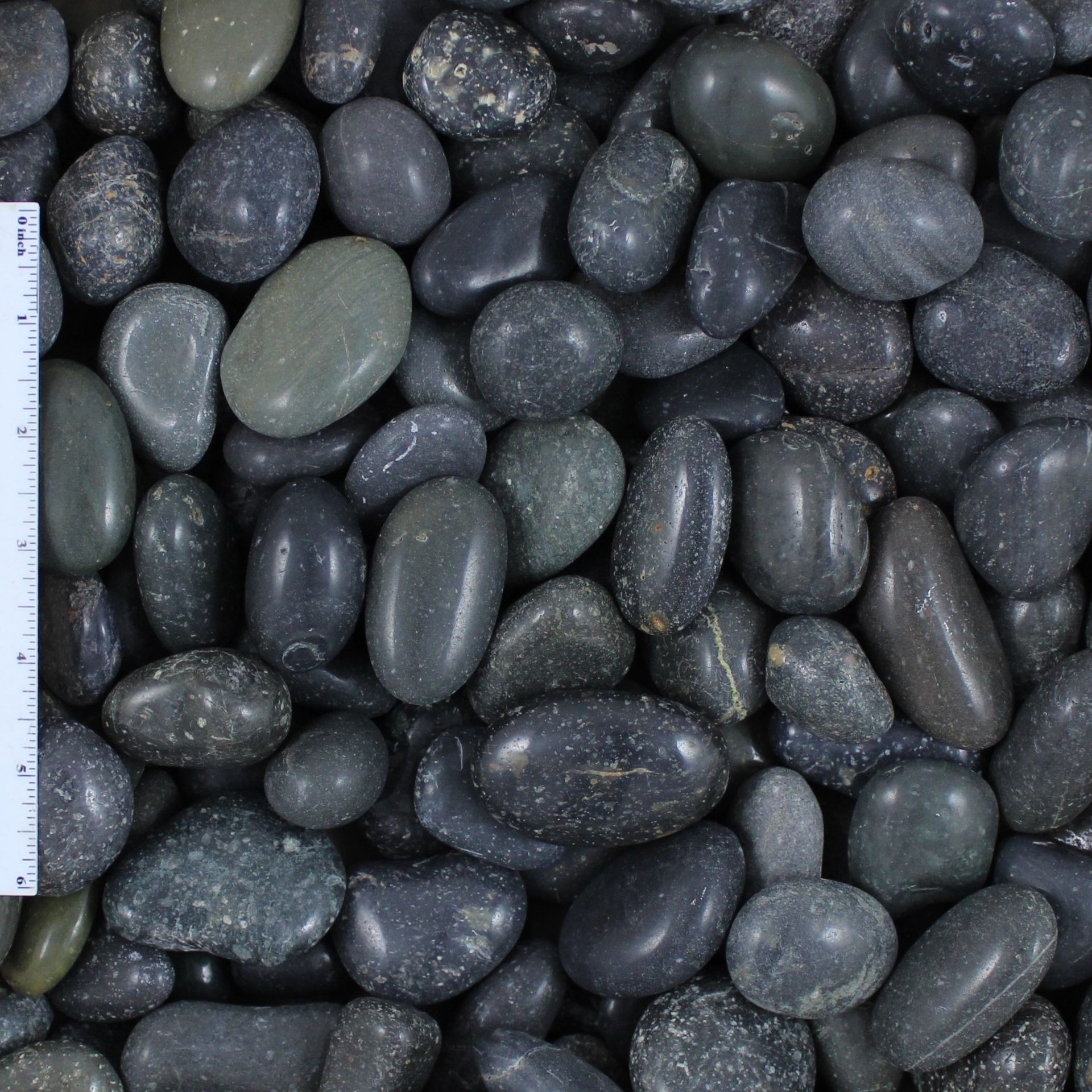 Polished Mexican Beach Pebble